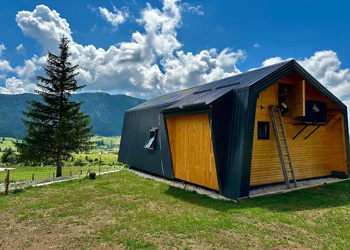 Odmor - Biser & 弗拉西克